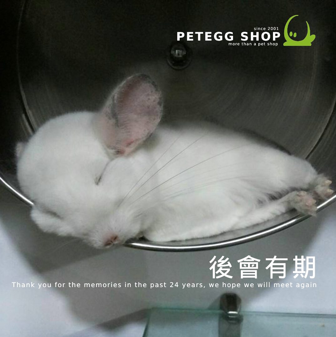 Petegg Shop - Till We Meet Again