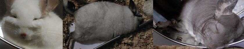 banner blog 1