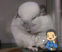 PETEGG SHOP 十三年營運之隨想