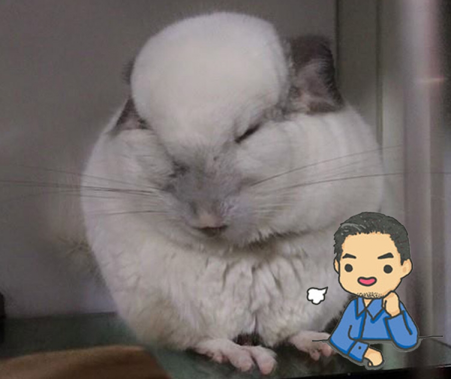PETEGG SHOP 十三年營運之隨想